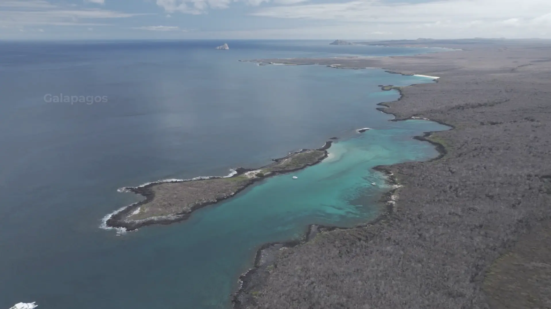 THE DEFIANCE TRAILER